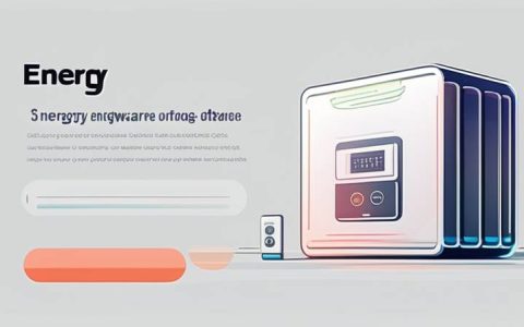 What is energy storage software