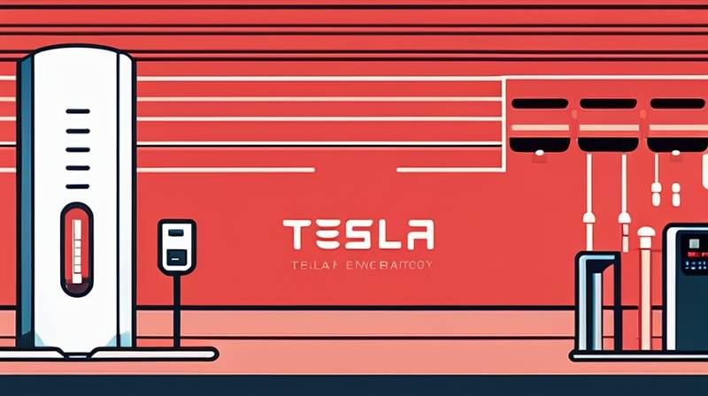 What does Tesla energy storage mean?