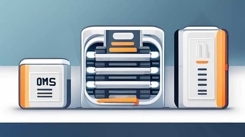 What does OMS mean in energy storage?