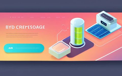 How is BYD's energy storage performance?