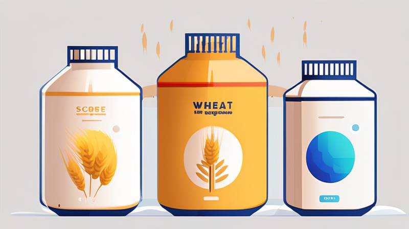 What is wheat energy storage material?