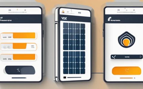 The Role of Social Enterprises in Promoting PV Solutions