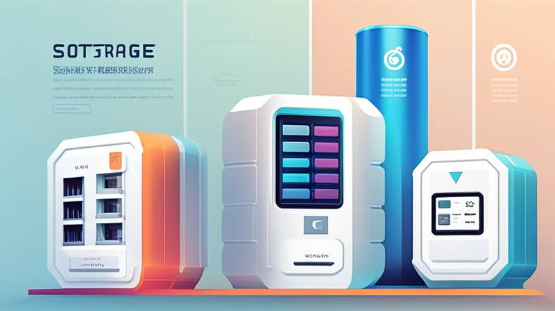 What are the energy storage system software?