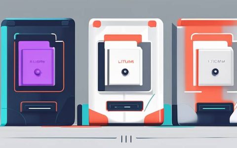 What is the lithium energy storage mechanism?
