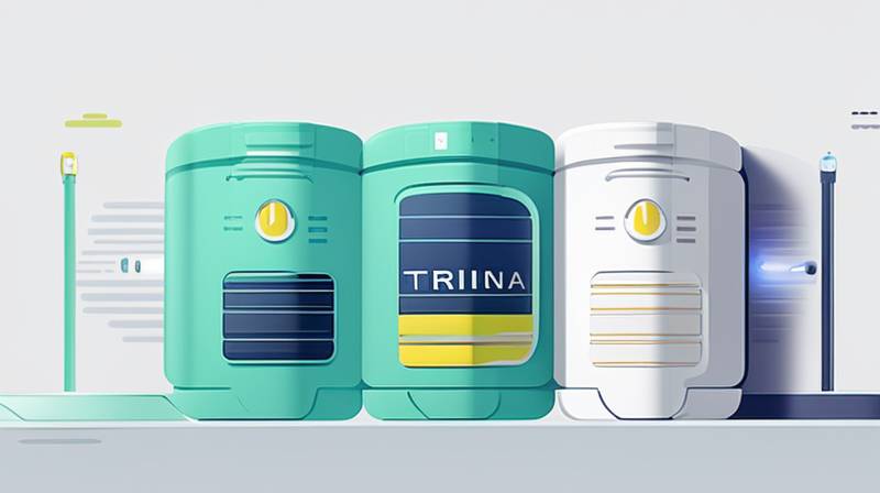 How is the Trina Energy Storage Electrode Workshop?