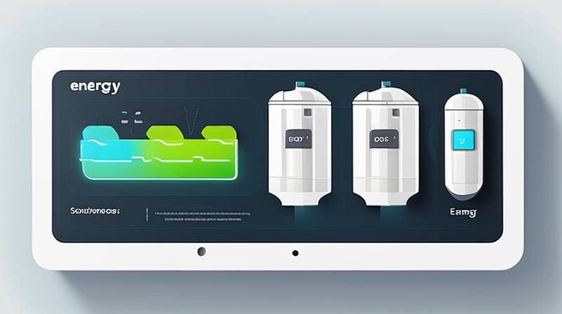 What is the software for energy storage future?