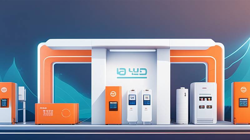 The role of government grants in supporting BYD’s energy storage initiatives