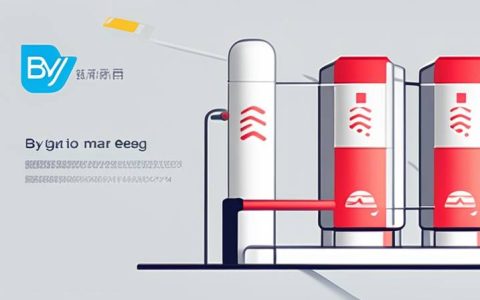 How BYD is shaping the global energy storage market