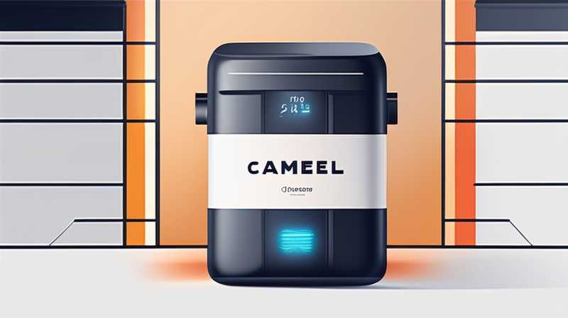 Чем занимается Camel Energy Storage?