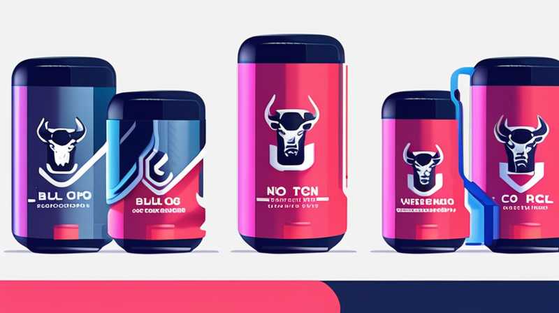 Как компания Bull Energy Storage зарабатывает деньги?