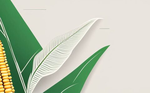 Can corn leaves be stored in silage and how to eat them?