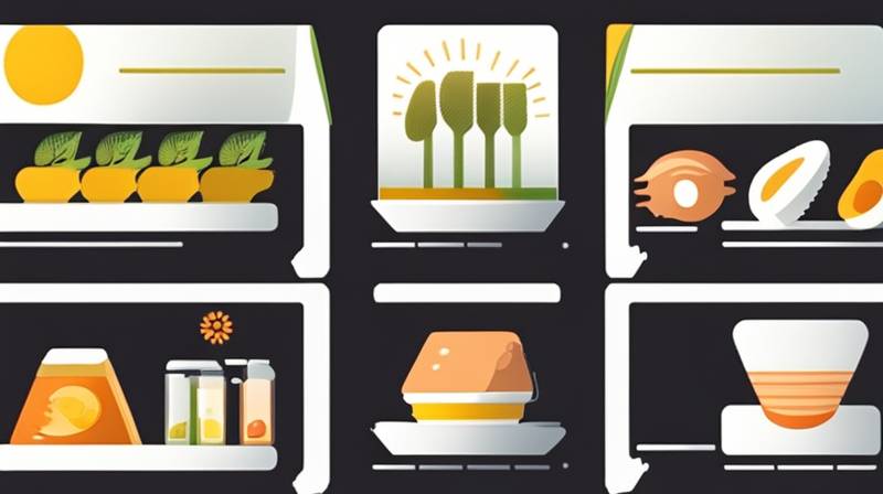 Solar Energy in the Food Industry: Sustainable Solutions for Processing and Storage