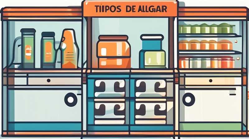 ¿Qué tipos de productos de almacenamiento de energía para el hogar existen?