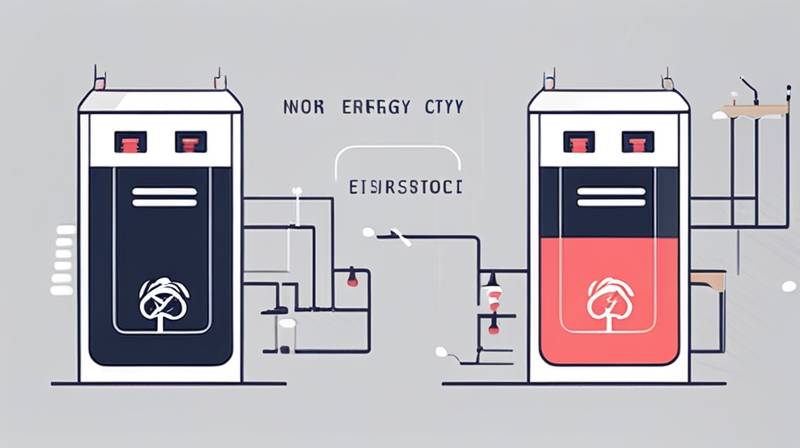 What is Neutral Energy Storage?