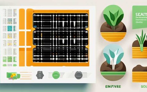 What to plant for solar sand prevention