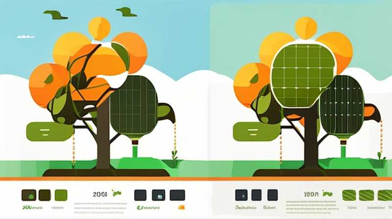 How long can the solar farm oak tree last?