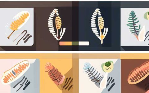 Can catkins be dried in the sun? How to dry them?