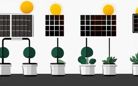 How to Grow Solar Energy