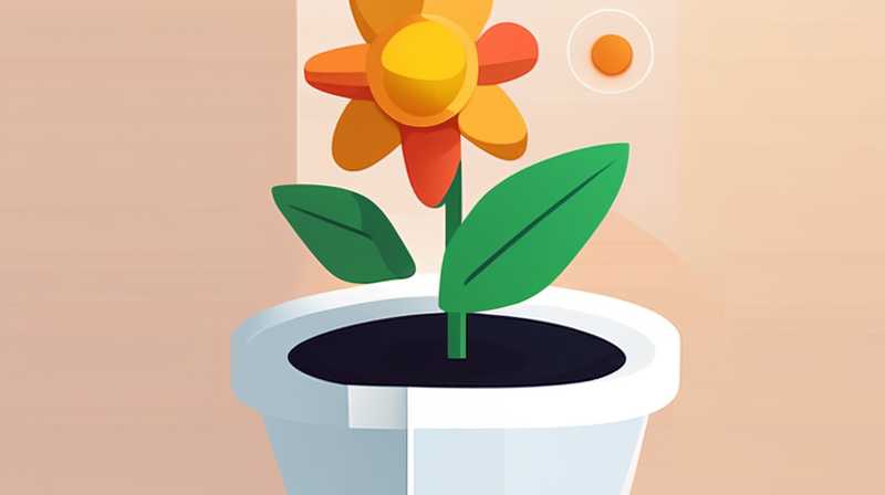 How to make a beautiful flower pot with solar energy