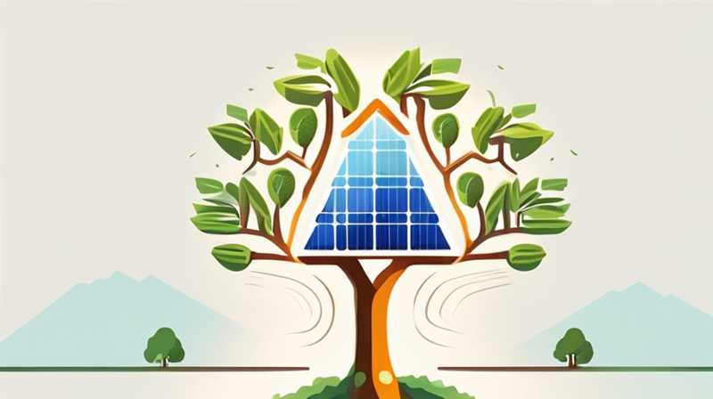 What trees grow best with solar energy?