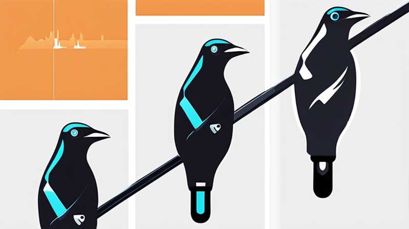 Why do magpies hold solar energy?