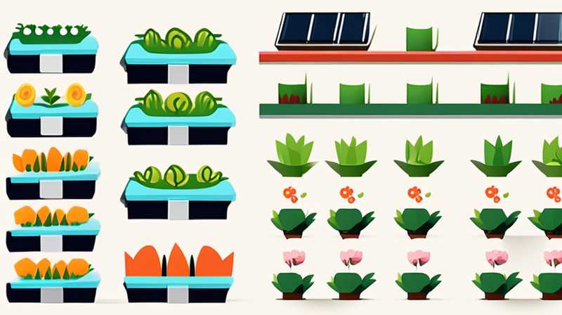 How to grow flowers on the roof with solar energy