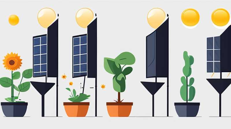 How to choose solar lights for your garden