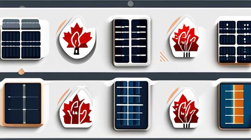 ¿Qué tal el almacenamiento canadiense de energía solar?