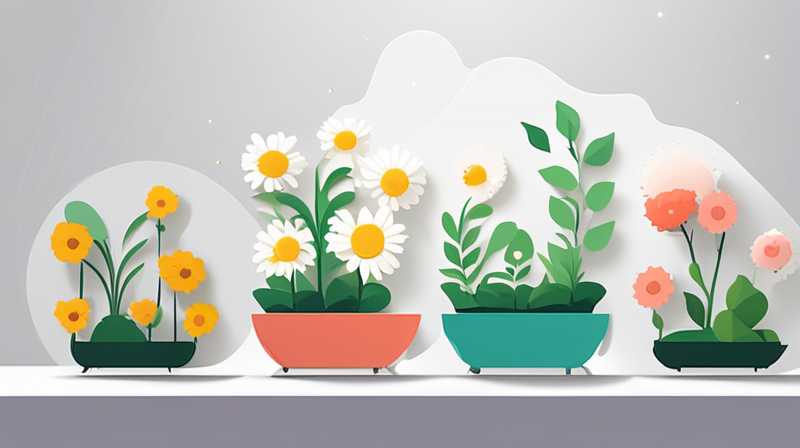 What flowers are good to grow indoors without solar energy?