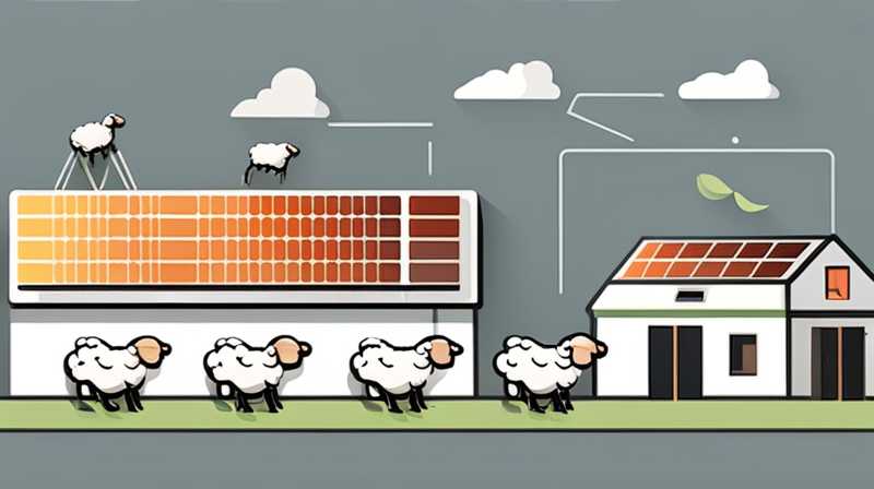 What is the use of solar power for herding sheep?