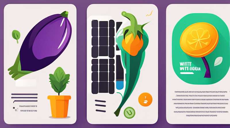 How to grow eggplant without solar energy?