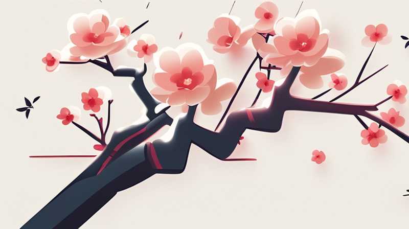 How many degrees can the plum blossoms be exposed to sunlight?