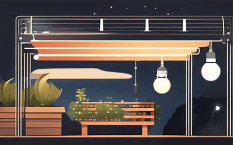 How to arrange solar string lights in the garden