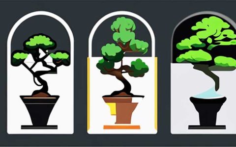 How to install bonsai solar lights
