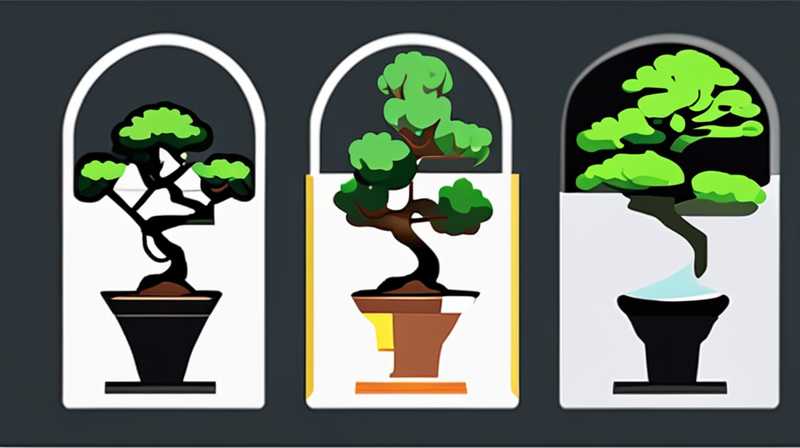 How to install bonsai solar lights