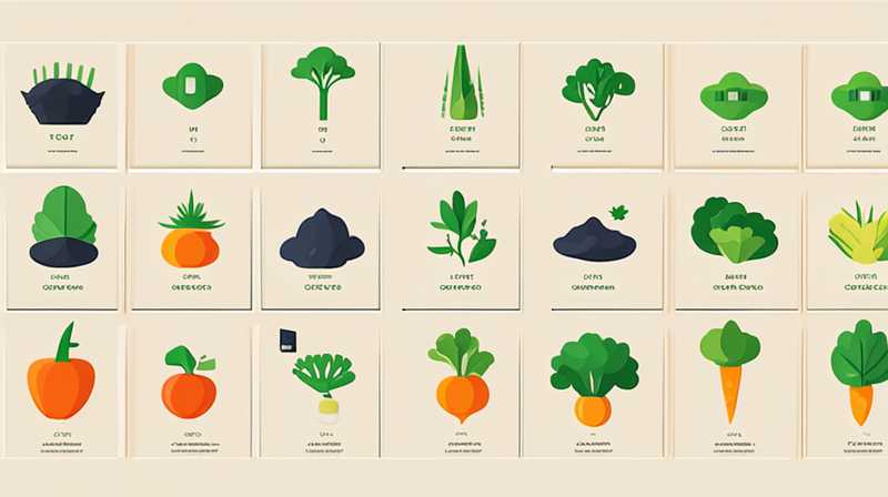 What vegetables are best grown under solar energy?