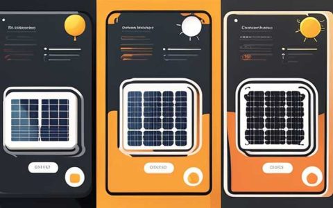 What is the black thing inside the solar panel?