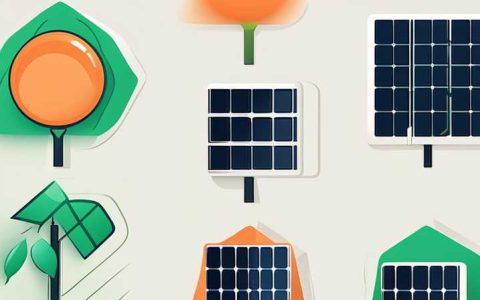 I can't find any vegetables to grow with solar energy.