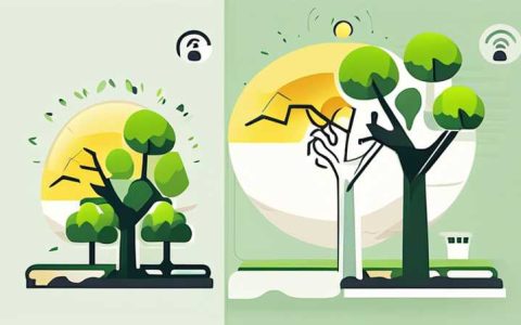 What trees can collect solar energy?