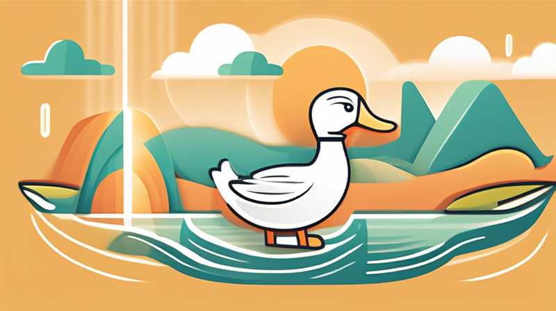 How long should ducks bask in the sun to supplement calcium?