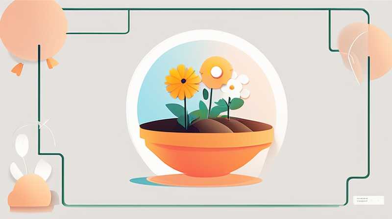 What flowers can be watered by solar energy?