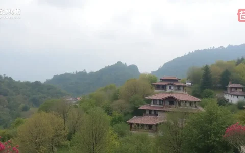 How do induction motors compare to traditional rare earth-based motors in EVs