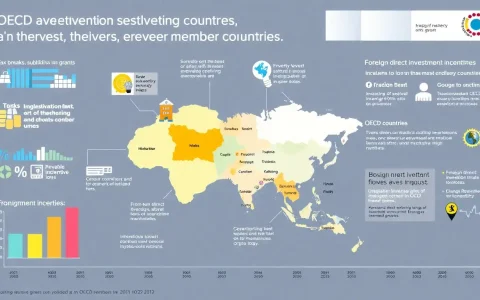 What are the key features of investment incentives in OECD member countries