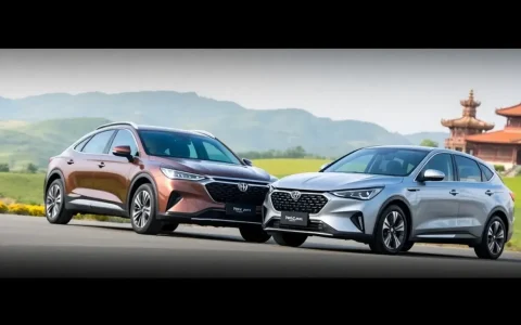 BYD Launches Flagship Models Han L and Tang L in Shanxi Region