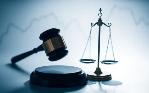 Regulatory Restrictions on Tongfang Holdings' Limited Shares Amid Quality Concerns